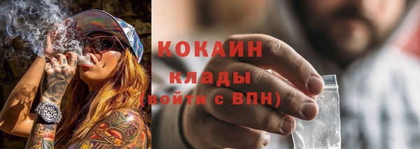 индика Магадан