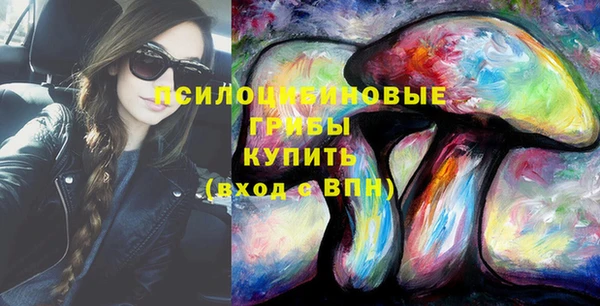 индика Магадан