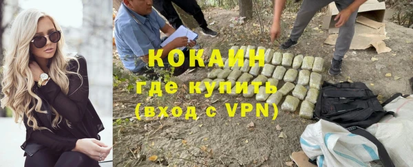 индика Магадан