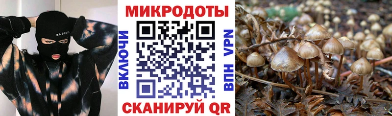 Галлюциногенные грибы MAGIC MUSHROOMS  цены наркотик  Жигулёвск 